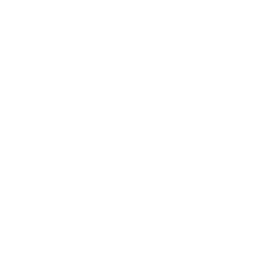 Surveying Systems Tunisia